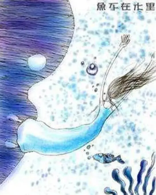 《鱼不在水里》：迷雾笼罩的生存考验，人性在绝境中的挣扎与救赎